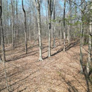 Photo #35 of Tilden Nursery, Lexington, NC 10.0 acres