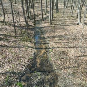 Photo #4 of Tilden Nursery, Lexington, NC 10.0 acres