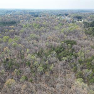 Photo #8 of Tilden Nursery, Lexington, NC 10.0 acres