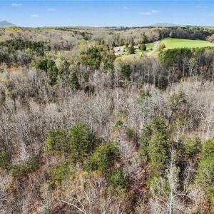 Photo #16 of Hidden Ridge, Tobaccoville, NC 39.8 acres