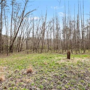 Photo #3 of Hidden Ridge, Tobaccoville, NC 39.8 acres