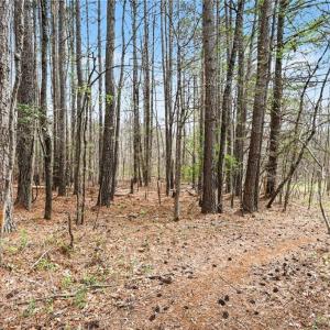 Photo #5 of Hidden Ridge, Tobaccoville, NC 39.8 acres