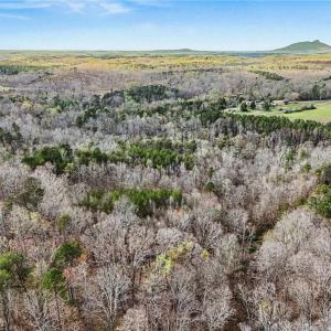 Photo #9 of Hidden Ridge, Tobaccoville, NC 39.8 acres