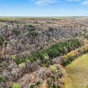 Photo #18 of Hidden Ridge, Tobaccoville, NC 39.8 acres