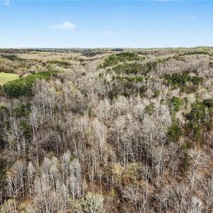 Photo #11 of Hidden Ridge, Tobaccoville, NC 39.8 acres