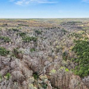 Photo #19 of Hidden Ridge, Tobaccoville, NC 39.8 acres