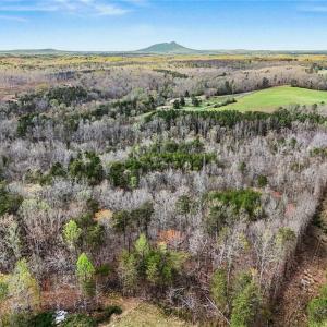 Photo #8 of Hidden Ridge, Tobaccoville, NC 39.8 acres