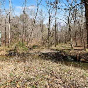 Photo #6 of Hidden Ridge, Tobaccoville, NC 39.8 acres