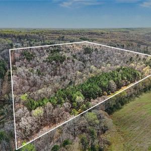 Photo #1 of Hidden Ridge, Tobaccoville, NC 39.8 acres