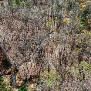 Photo #14 of Hidden Ridge, Tobaccoville, NC 39.8 acres