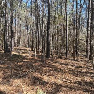 Photo #6 of Lot 16 Willie, Seagrove, NC 11.5 acres
