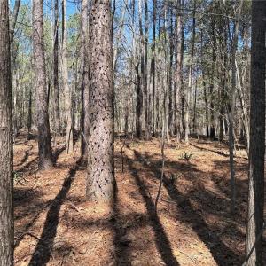 Photo #7 of Lot 16 Willie, Seagrove, NC 11.5 acres