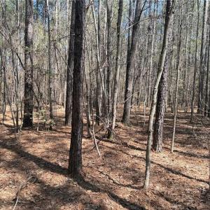 Photo #3 of Lot 16 Willie, Seagrove, NC 11.5 acres