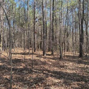 Photo #5 of Lot 16 Willie, Seagrove, NC 11.5 acres