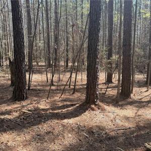 Photo #9 of Lot 16 Willie, Seagrove, NC 11.5 acres