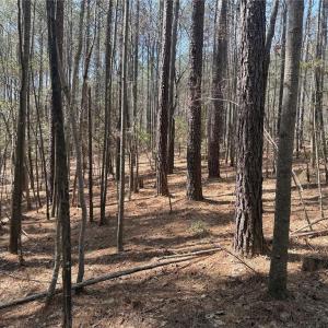 Photo #4 of Lot 16 Willie, Seagrove, NC 11.5 acres