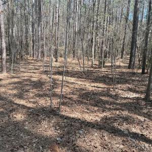 Photo #8 of Lot 16 Willie, Seagrove, NC 11.5 acres