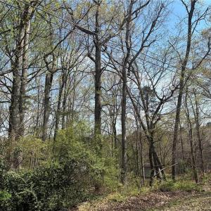Photo #1 of Idlewild Drive, Randleman, NC 1.0 acres