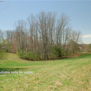Photo #13 of 1-2 Flat Rock, Pinnacle, NC 7.9 acres