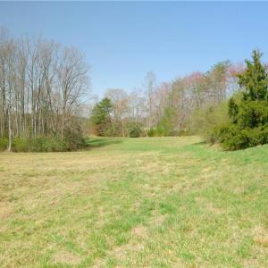 Photo #12 of 1-2 Flat Rock, Pinnacle, NC 7.9 acres