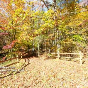 Photo #22 of 1-2 Flat Rock, Pinnacle, NC 7.9 acres