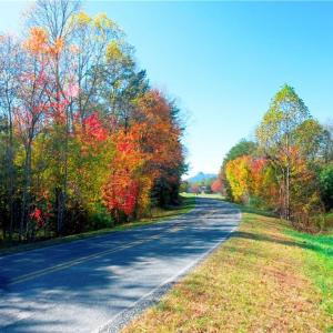 Photo #7 of 1-2 Flat Rock, Pinnacle, NC 7.9 acres