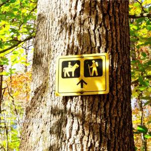 Photo #20 of 1-2 Flat Rock, Pinnacle, NC 7.9 acres