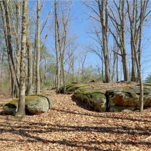 Photo #19 of 1-2 Flat Rock, Pinnacle, NC 7.9 acres