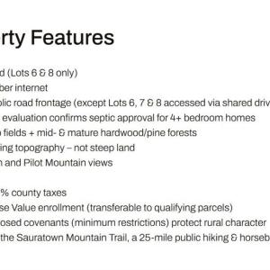 Photo #25 of 1-2 Flat Rock, Pinnacle, NC 7.9 acres