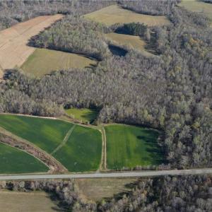 Photo #6 of 1337 Candy Creek, Reidsville, NC 23.4 acres
