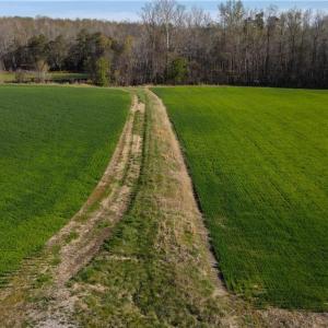 Photo #13 of 1337 Candy Creek, Reidsville, NC 23.4 acres