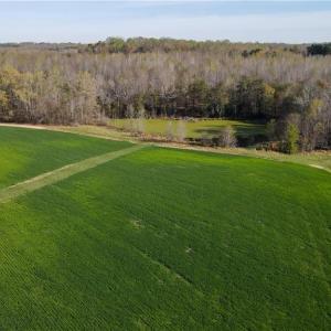 Photo #12 of 1337 Candy Creek, Reidsville, NC 23.4 acres