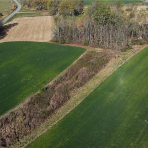 Photo #22 of 1337 Candy Creek, Reidsville, NC 23.4 acres