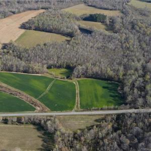 Photo #7 of 1337 Candy Creek, Reidsville, NC 23.4 acres