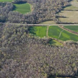 Photo #3 of 1337 Candy Creek, Reidsville, NC 23.4 acres