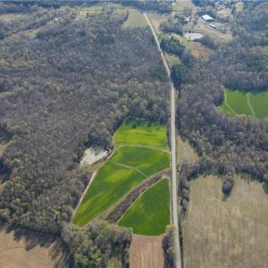 Photo #5 of 1337 Candy Creek, Reidsville, NC 23.4 acres