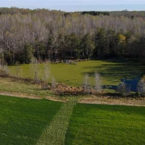 Photo #20 of 1337 Candy Creek, Reidsville, NC 23.4 acres