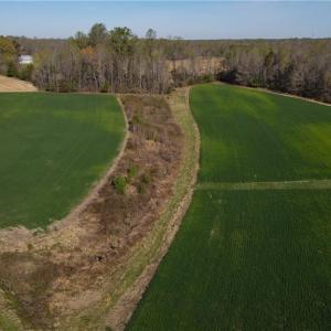 Photo #10 of 1337 Candy Creek, Reidsville, NC 23.4 acres