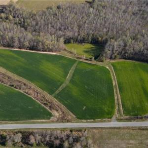 Photo #18 of 1337 Candy Creek, Reidsville, NC 23.4 acres