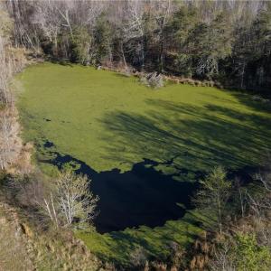 Photo #19 of 1337 Candy Creek, Reidsville, NC 23.4 acres