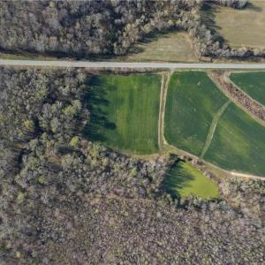 Photo #4 of 1337 Candy Creek, Reidsville, NC 23.4 acres