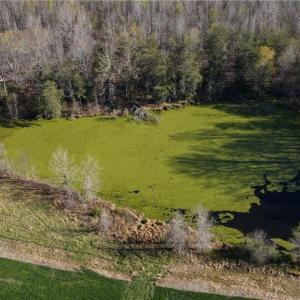 Photo #21 of 1337 Candy Creek, Reidsville, NC 23.4 acres