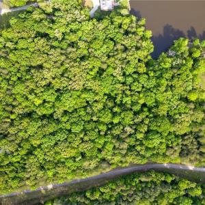 Photo #5 of LOT 18 BLACK ANGUS, Leasburg, NC 1.0 acres