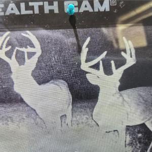 Photo #36 of 1163 Mills, Mount Airy, NC 10.6 acres