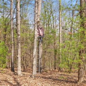 Photo #24 of 1163 Mills, Mount Airy, NC 10.6 acres