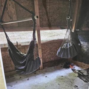 Photo #34 of 1163 Mills, Mount Airy, NC 10.6 acres