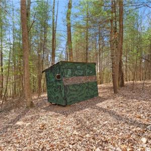 Photo #33 of 1163 Mills, Mount Airy, NC 10.6 acres