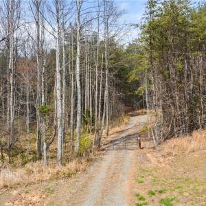 Photo #14 of 1163 Mills, Mount Airy, NC 10.6 acres