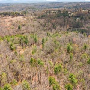 Photo #11 of 1163 Mills, Mount Airy, NC 10.6 acres