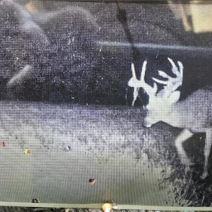 Photo #35 of 1163 Mills, Mount Airy, NC 10.6 acres